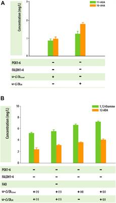 Biosynthesis of aliphatic plastic monomers with amino residues in Yarrowia lipolytica